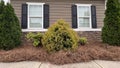 Front of house balanced landscaping with plants. Royalty Free Stock Photo