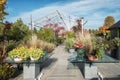 In front of the large metal gazebo are two glass tables full of