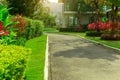 The front lawn yard in a beautiful garden and gray road with green and red leaves shurb of a house landscaping Royalty Free Stock Photo