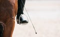 The front leg of the horse, the leg of the rider in the stirrup and the whip Royalty Free Stock Photo