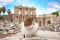 ÃÂ¡at in front of library of Celsus in Ephesus in afternoon Royalty Free Stock Photo