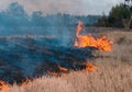 The front line of the spreading forest fire which separates dry grass. Royalty Free Stock Photo