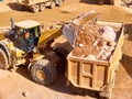 Front loader loads rock into a dump truck