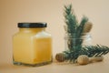 Front macro view of a glass jar with black lid of lemon curd with honey dipper stick Royalty Free Stock Photo