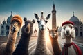 Group of alpaca in front of Taj Mahal, India