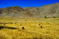 In front of the mountain, grass is rolled into squares and arranged. blue sky