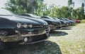 Front nose of an Alfa Romeo 159. Multiple black cars lined up on an Alfa Romeo enthusiast exhibition