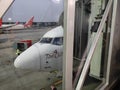 Front nose of a Boeing passenger aircraft that has just landed on the International Airport arrival terminal.