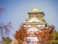 front of osaka castle with blue sky and red leaves of ginkgo tree at front palace at osaka japan autumn season travel Royalty Free Stock Photo
