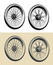 Front and rear wheels of a bicycle