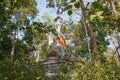 Front Right Meditation Buddha Statue in Forest