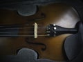 Front side of violin,show detail of acoustic instrument