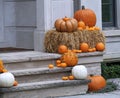 Front steps of home with different sized pumpkins