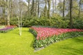 In front of the trees and shrubs are flower beds with tulips in various colors Royalty Free Stock Photo