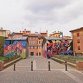 In front of typical buildings from Bologna Italy and murals full of colours