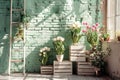 Front View Backdrop with Brick Wall, White Wooden Crates, Tulips, and Ladder. Royalty Free Stock Photo