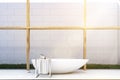 Front view of bathroom with grass, toned Royalty Free Stock Photo