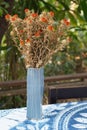 front view beautiful dry orange flowers bouquet in blue ceramic vase on blue and white fabric, blur nature background, decor, Royalty Free Stock Photo