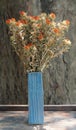 front view beautiful dry orange flowers bouquet in blue ceramic vase on wooden table, blur nature background, decor, nature, gift Royalty Free Stock Photo