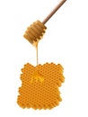 Front view of beautiful realistic wooden honey stick with honey flowing on a honeycomb Royalty Free Stock Photo