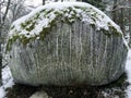 Front view of a big stone rock in winter forest. Snow and moss on top and ice pattern formation.