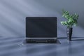 Front view on blank dark modern laptop monitor with place for your logo or text in grey shades area with green plant in dark vase