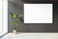 Front view of blank poster on dark wall in a modern office corridor interior. 3D Rendering, mockup Royalty Free Stock Photo