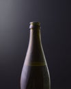 Front view of a bottle of cold beer with dark black background with purple gradient colors. Cold alcoholic beverage. Royalty Free Stock Photo