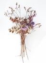 Bouquet of dried natural flowers isolated on white background. Delicate bouquet of wild flowers, close up Royalty Free Stock Photo