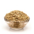 Front view of Bowl of Organic Fennel seed.