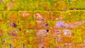 Front view of Brick Moss wall Royalty Free Stock Photo
