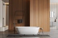 Front view on bright bathroom interior with bathtub, shower, sink Royalty Free Stock Photo