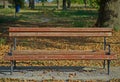 Front view on a brown bench on red bricks with nature behind it Royalty Free Stock Photo