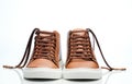 Front view of brown leather shoes Royalty Free Stock Photo