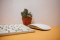 Front view business table background with keyboard, mouse and pl Royalty Free Stock Photo