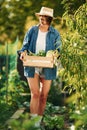 Front view, busy by work. Beautiful young woman is gardening