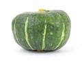 Front View of Buttercup Squash