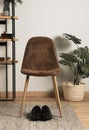 Front view chair with interior plant. High quality and resolution beautiful photo concept