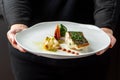 Front view of chef holding gourmet plate of grilled fish fillet with vegetables Royalty Free Stock Photo