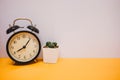 Front view. clock and plant placed on wooden background with cop