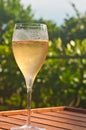 Glass of french champaign in fluted glass