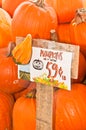 Group of pumpkins and a sign to sell pumpkins at 59 cents per pound