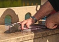 Fisherman cleaning and filleting fish at tropical marina