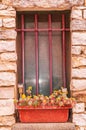 small window withpainted, red, security bars and rusted,metal, planter filled with flowers Royalty Free Stock Photo