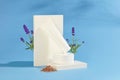Front view of a cosmetic tube is placed on a white platform, next to it is fresh and dried lavender on a blue background. Lavender