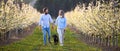 Front view of couple with dog walking outdoors in orchard in spring.