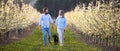 Front view of couple with dog walking outdoors in orchard in spring. Royalty Free Stock Photo