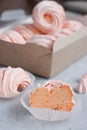 Front view of creamy peach-coloured zefir on blurred background. Handmade pumpkin marshmallow & x28;zephyr& x29; packed in