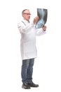 Front view of a doctor with stethoscope studying x-ray image Royalty Free Stock Photo