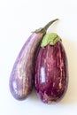 Front view of Dominican eggplants Solanum melongena food ingredients